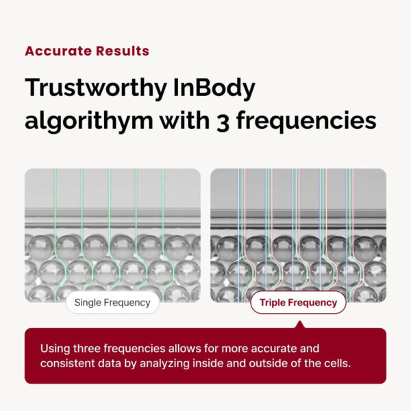 InBody H30 Composition Scale - Image 7